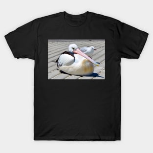 The Pelican and the Seagull! T-Shirt